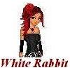 *WhiteRabbit*'s Avatar