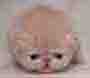 bleulune's Avatar