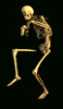 residentevil's Avatar