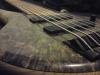 d-basser's Avatar