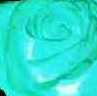 RetardedRose's Avatar
