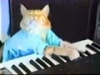 keyboard_cat's Avatar