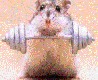 vi0l8tedHamSTIR's Avatar