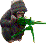 Kenny Macca Doo's Avatar