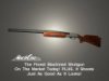 Mr. Shotgun.'s Avatar