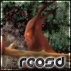 RCOSD's Avatar