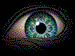 Three Libras's Avatar