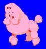 pooodle's Avatar