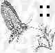 moth's Avatar