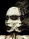 TheoryOfMine's Avatar