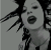 lilit's Avatar