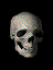 kidg's Avatar