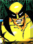 Androginii's Avatar